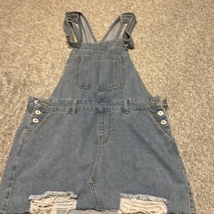 Overall skirt